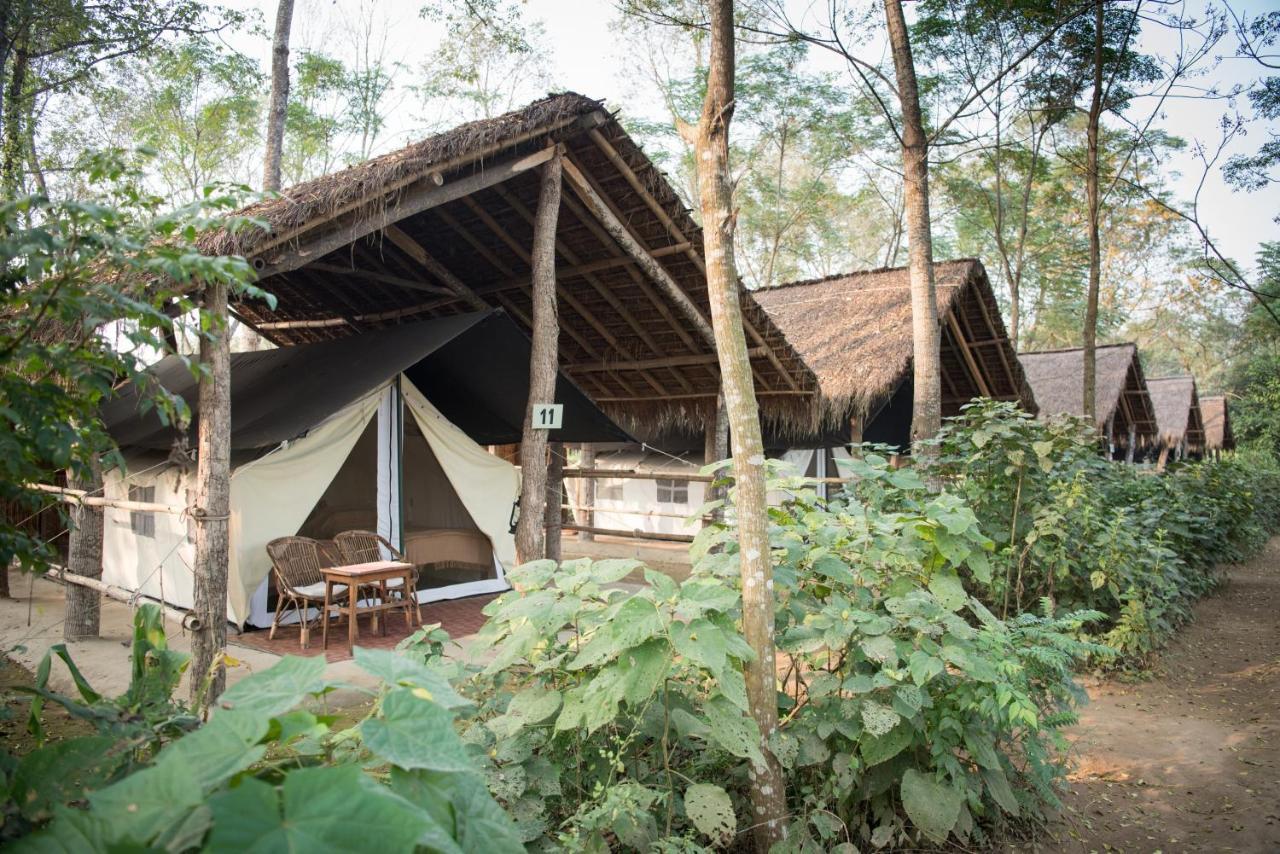 Tiger Tops Tharu Lodge Chitwan Exterior photo