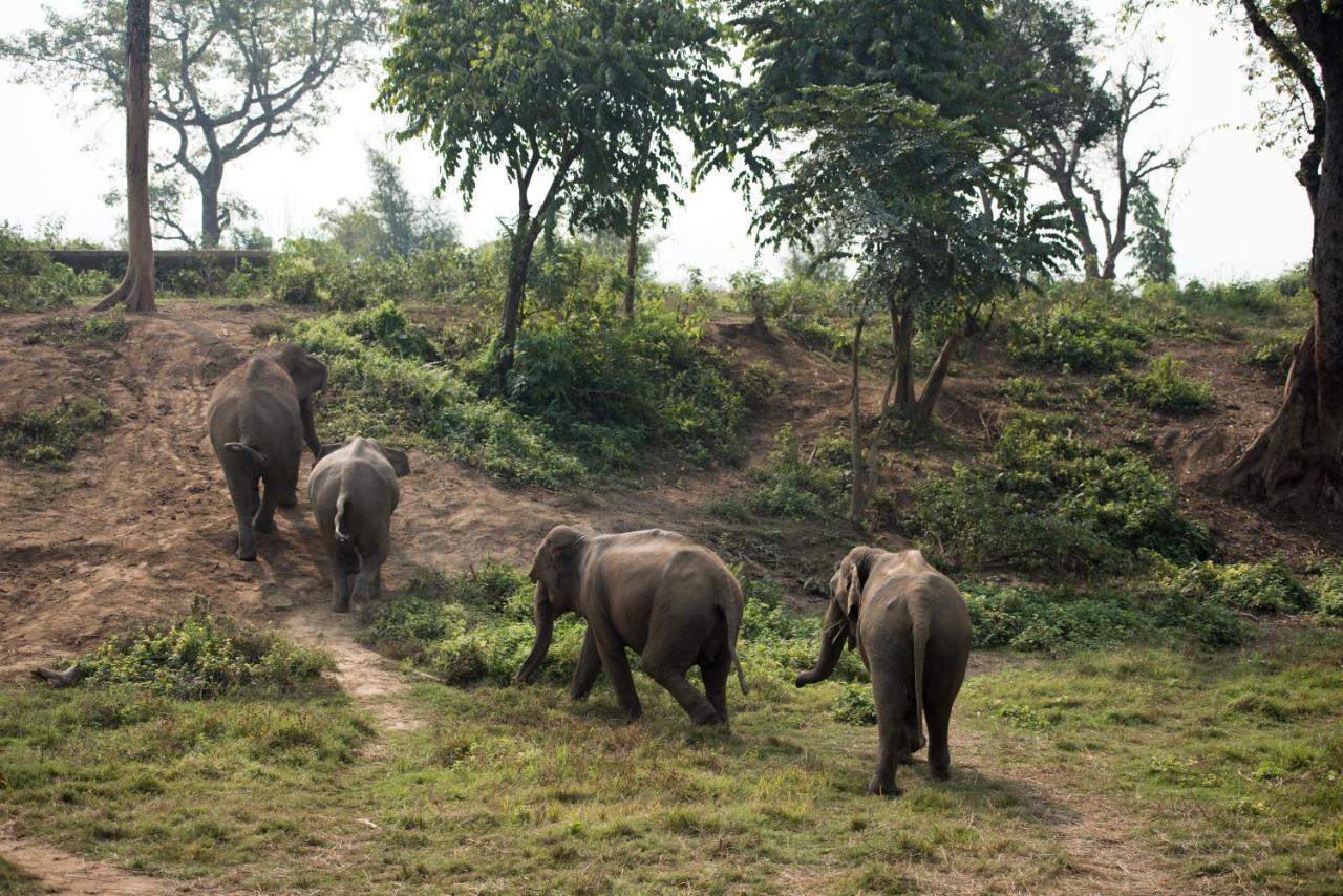 Tiger Tops Tharu Lodge Chitwan Exterior photo