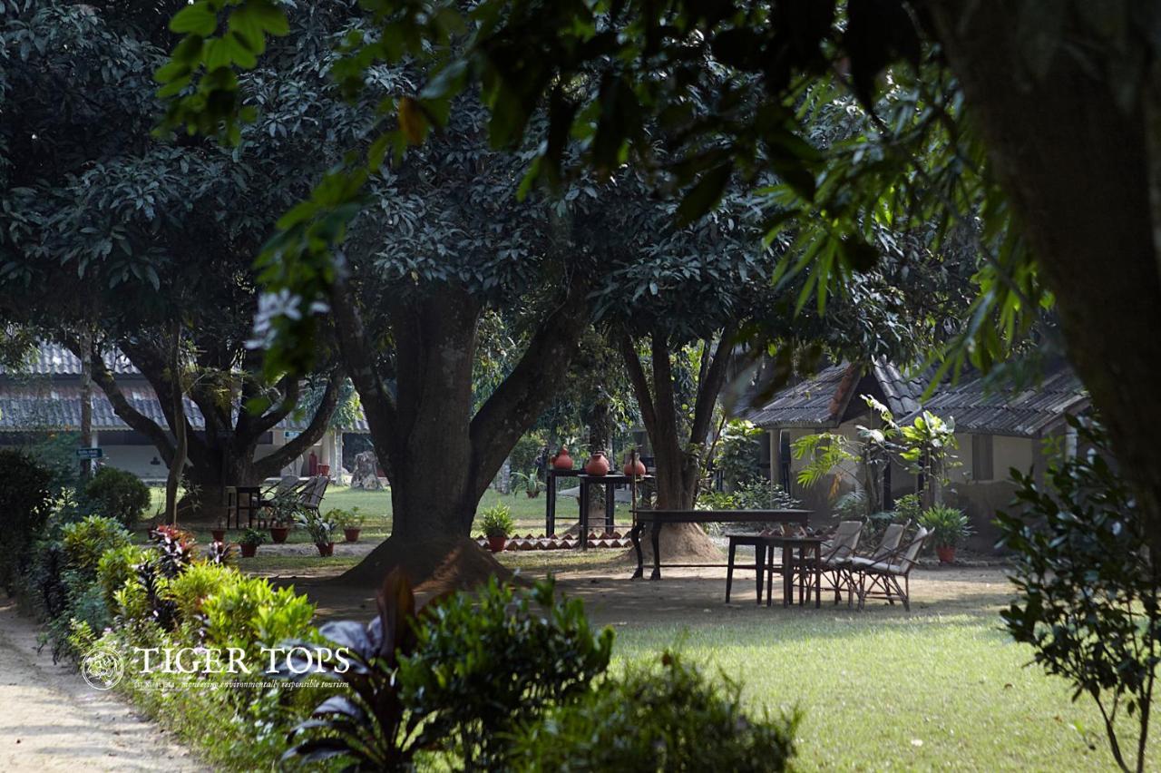 Tiger Tops Tharu Lodge Chitwan Exterior photo
