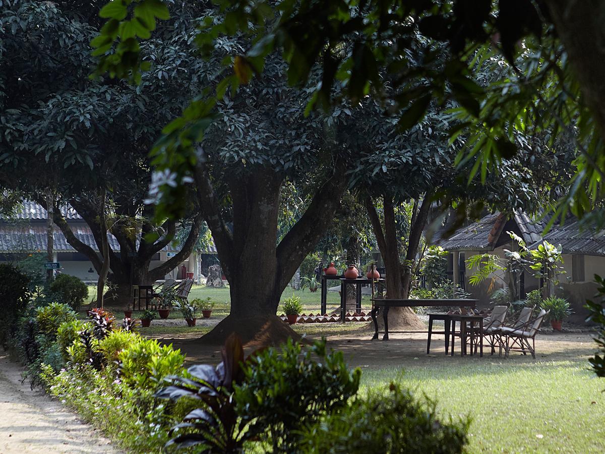 Tiger Tops Tharu Lodge Chitwan Exterior photo