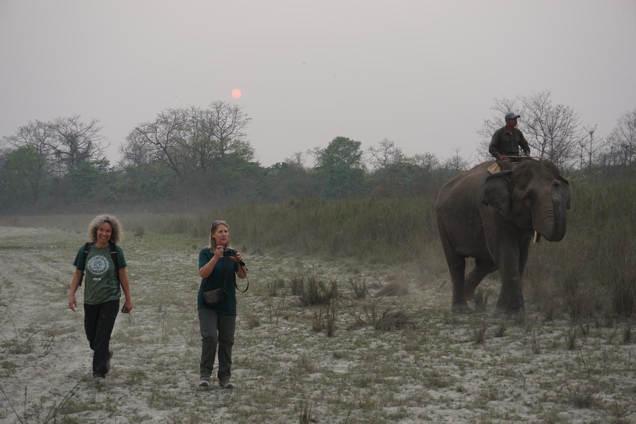 Tiger Tops Tharu Lodge Chitwan Exterior photo