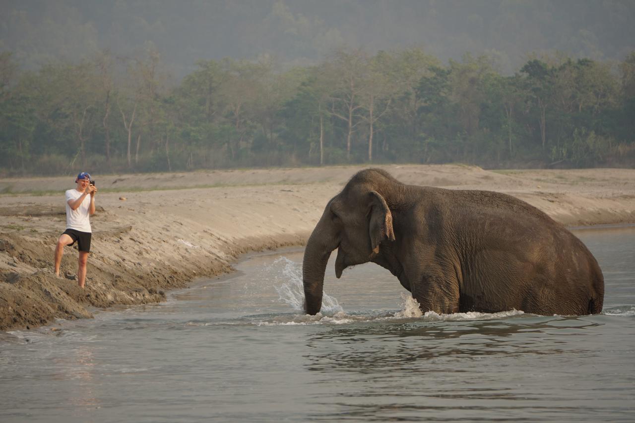 Tiger Tops Tharu Lodge Chitwan Exterior photo