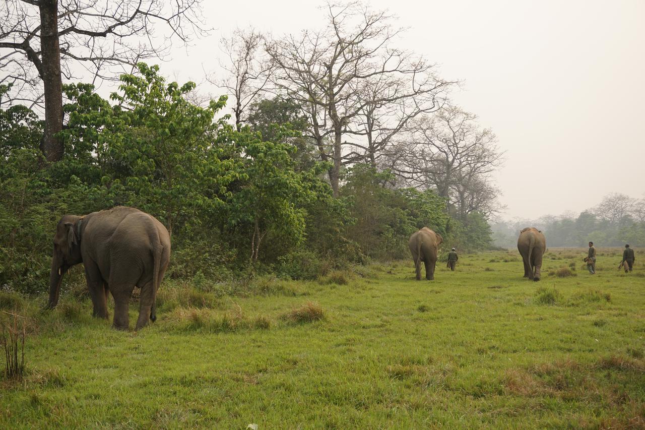 Tiger Tops Tharu Lodge Chitwan Exterior photo