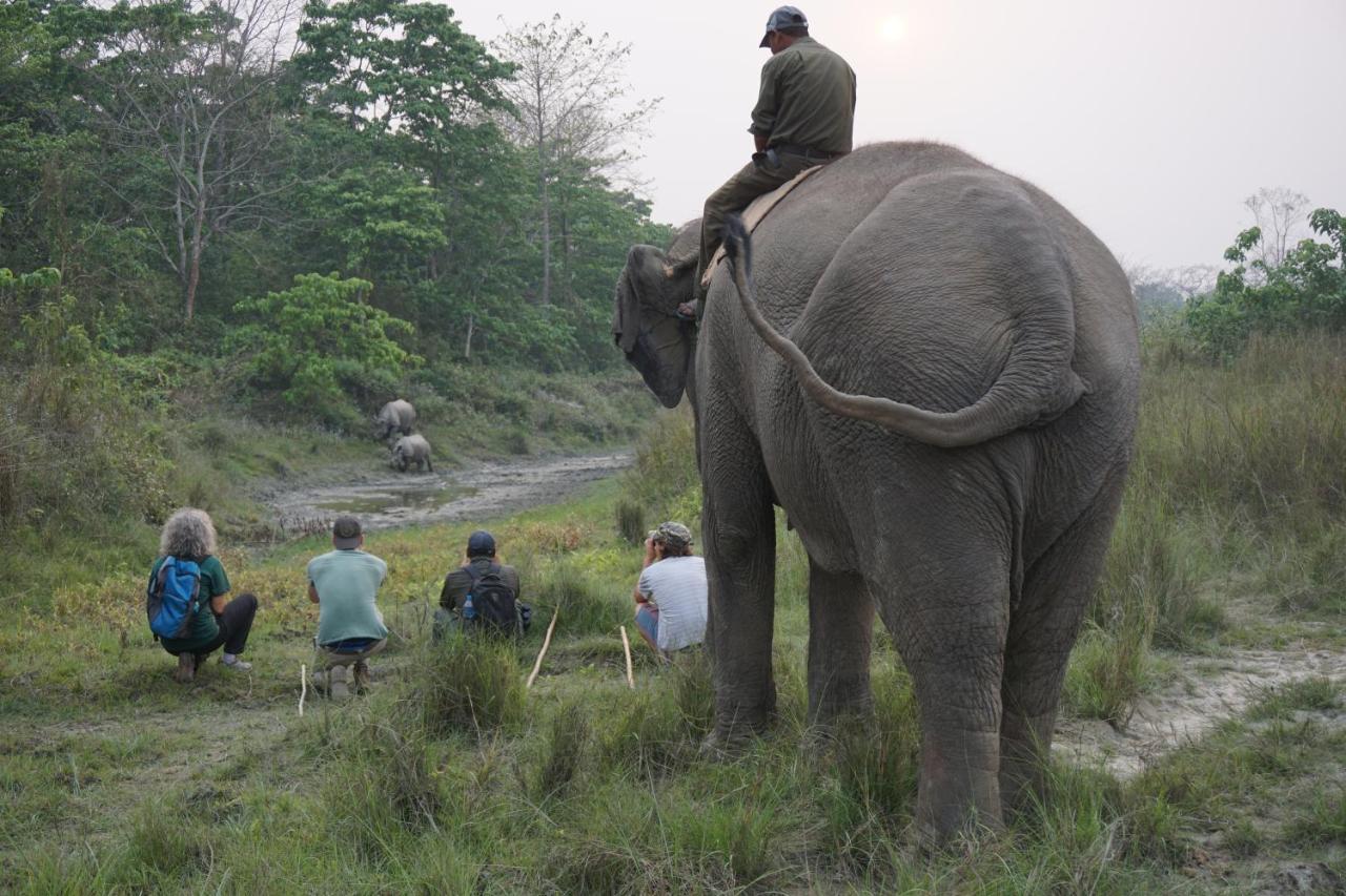 Tiger Tops Tharu Lodge Chitwan Exterior photo